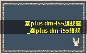 秦plus dm-i55旗舰蓝_秦plus dm-i55旗舰版功能介绍